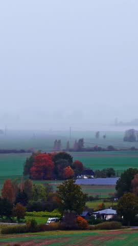 Aerial view of rural landscape with colorful autumn trees, a small house, and a solar panel array under a misty sky in Bauska, Bauska Municipality, Latvia.