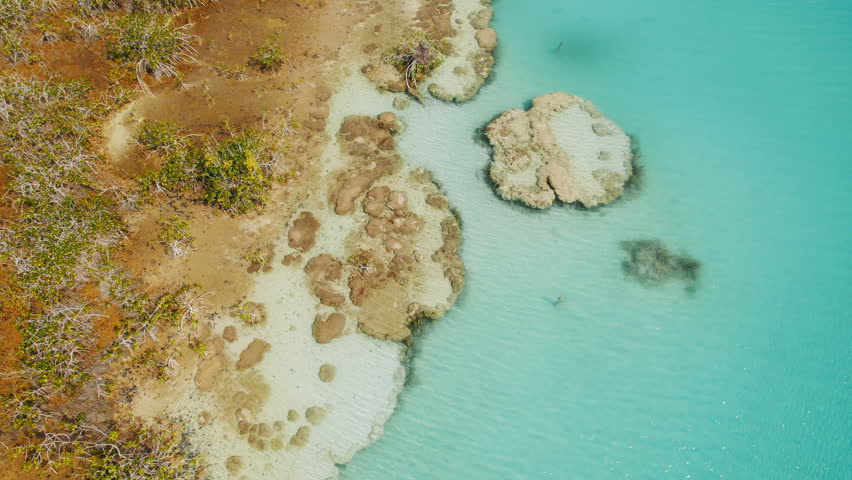 Aerial view of stromatolites along Bacalar Lagoon with blue water in Mexico