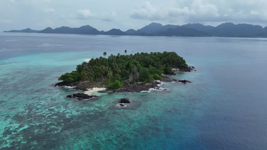 A secluded island with lush green vegetation in the middle of clear sea.