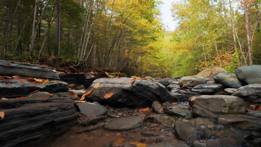 A shallow stream flows gently over smooth rocks, surrounded by autumn foliage in a serene Shenandoah forest setting.