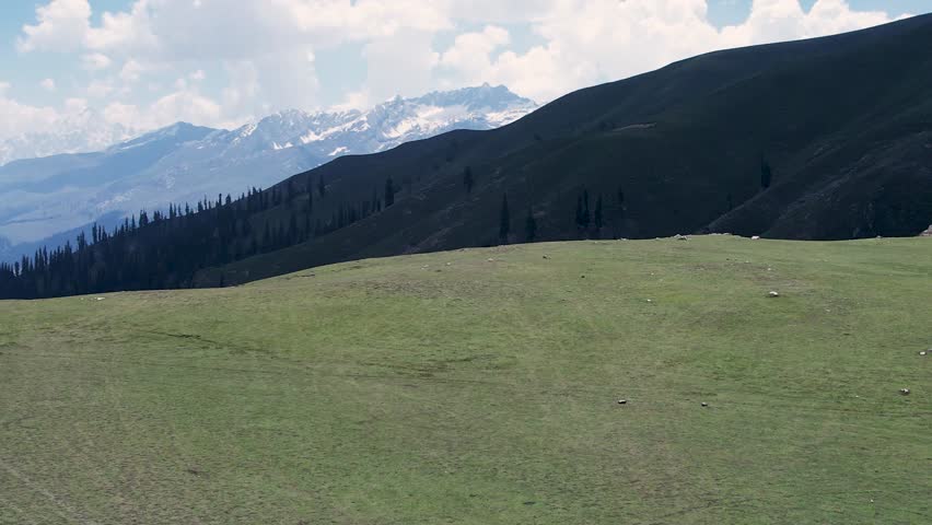 Rolling grassland stretches toward distant snow-covered mountains at Dasht e Laila Meadows, Khyber Pakhtunkhwa, Pakistan