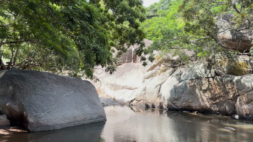 Pristine mountain creek cascading over weathered rocks beneath warm sunlight and forest shade
