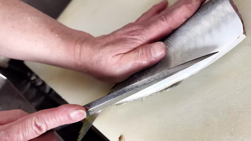 Japanese Chef Prepares Whole Horse Mackerel Part 9 of 12: Filleting The First Side, Japan. A Japanese izakaya chef fillets the first side of the fish off the backbone with a knife, one clip of a 12-clip series showing the complete process of preparing a whole fresh horse mackerel from scaling to filleting.