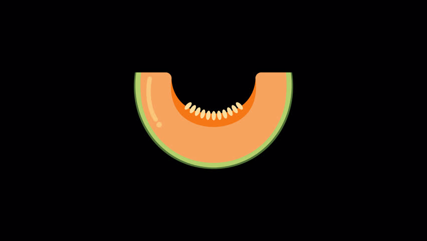 Animated Cantaloupe Melon Slice Flat Vector Illustration on Alpha Channel