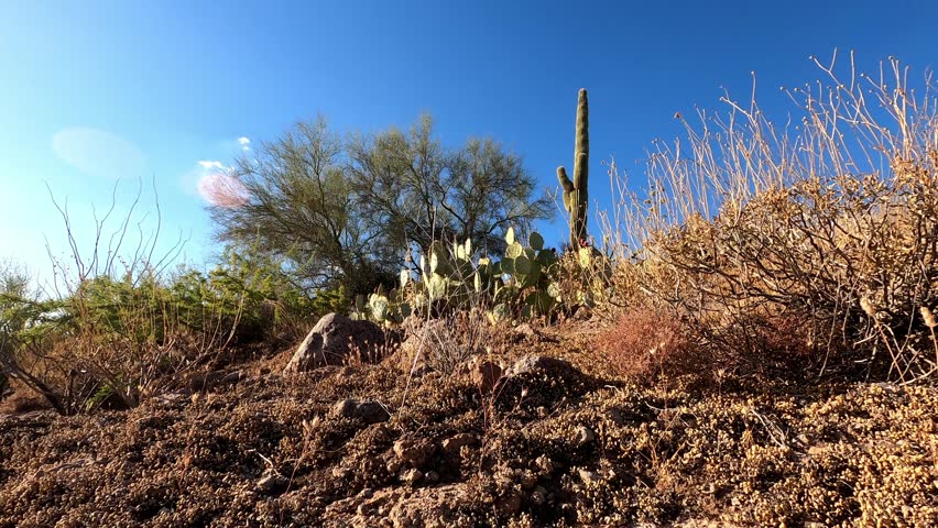 Arizona 0814 Timelapse Tortilla Flat Red Rock Desert Landscape