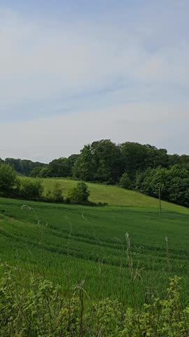 Scenic view of a verdant agricultural landscape with rolling hills and trees under a cloudy sky
