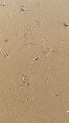 Footprints on a sandy beach during sunset as gentle ocean waves wash over the shore in a peaceful atmosphere