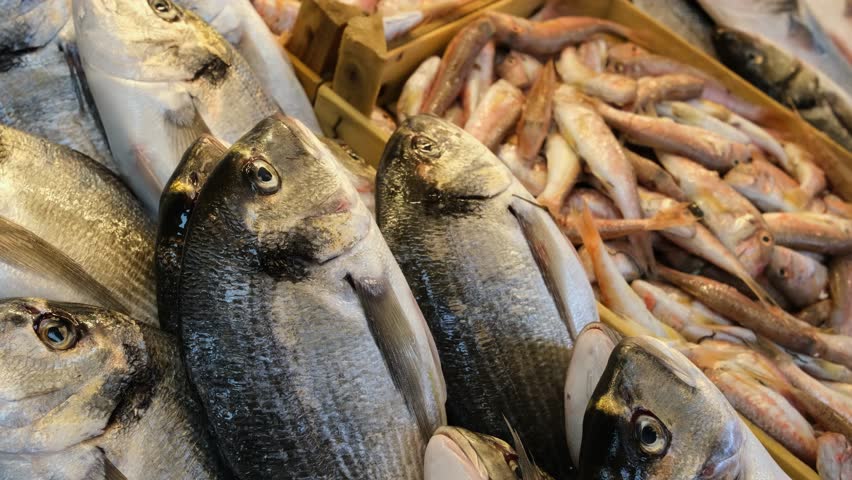 View of fresh fish on display at a local market in Sigacik, Izmir, Turkiye.