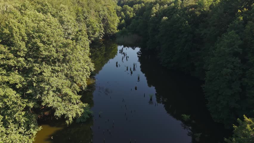 A drone view of a secluded lake nestled within a dense green forest under a clear blue sky.
