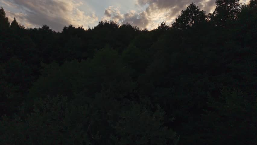 A breathtaking aerial view of a forest landscape at golden hour, with the sun setting behind rolling hills beneath dramatic clouds.