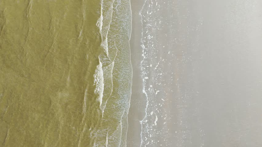 Top-down aerial drone shot flying along a Belgian beach with ocean waves on one side and sandy shoreline on the other. People walking along the coast appear at the end of the cinematic shot.