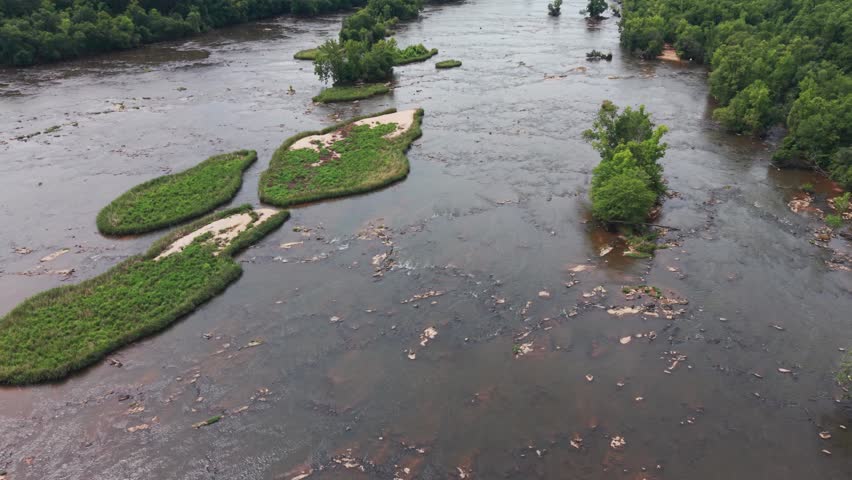 Flight over Rocky Shoal Spider Lilies in bloom on the Catawba River in South Carolina, USA