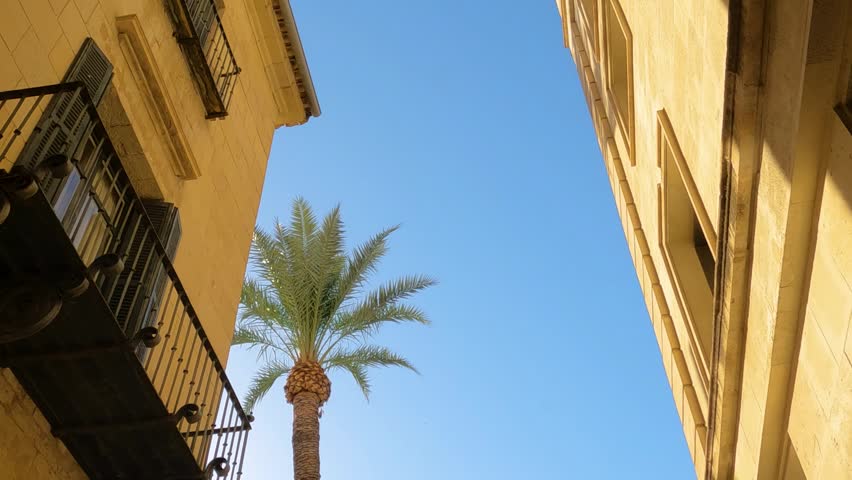 Historic center of Elche, Alicante, Spain, Valencian Community