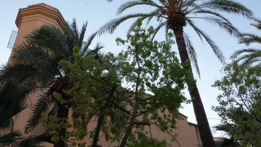 Historic center of Elche, Alicante, Spain, Valencian Community