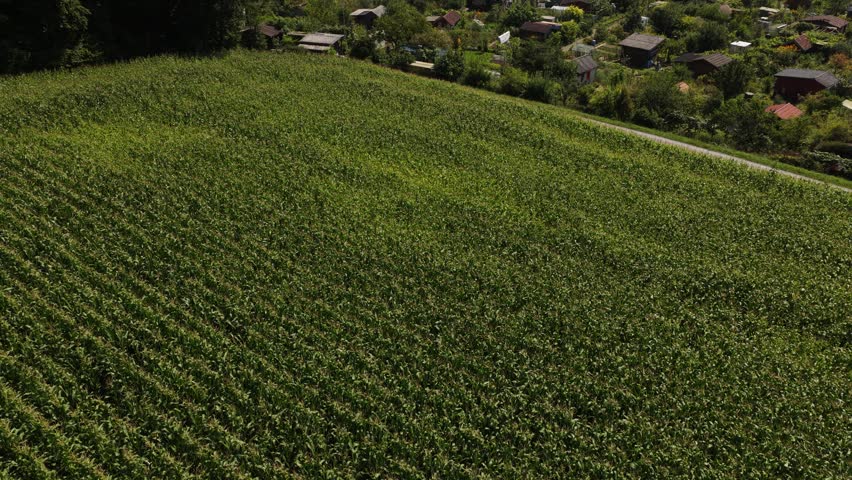 A drone view of a small-town hillside with a green field, overlooking Zurich city and lake on a sunny day in Switzerland