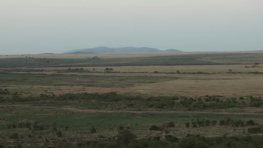 Wide landscape view of Kenyan natural wildlife reserve in Masai Maasai Mara in southwest Kenya, Africa from aerial safari perspective as sun rises above animals with Serengeti mountains in distance 4k
