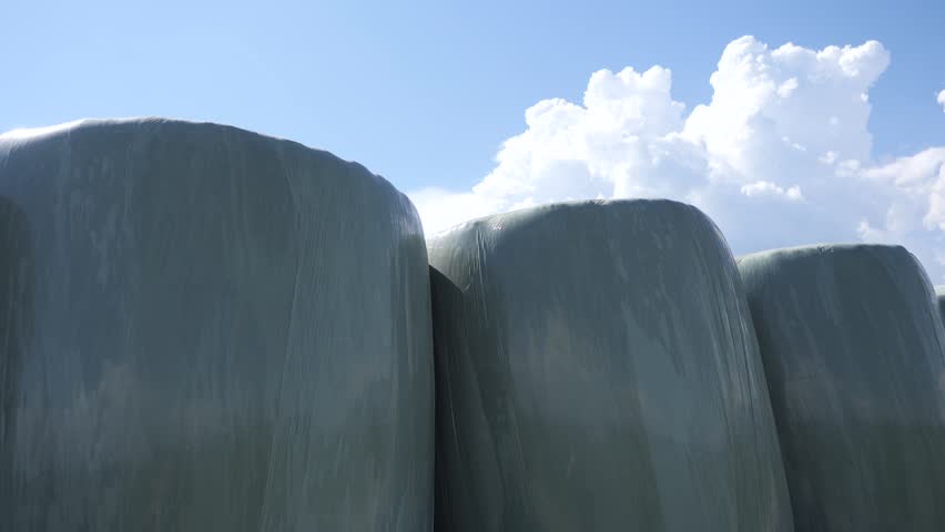 Large plastic-wrapped hay bales stacked in a field under a bright summer sky with fluffy clouds