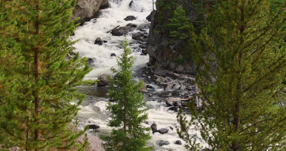 An eye-level landscape shot showcasing a powerful waterfall cutting through a steep rocky gorge flanked by dense pine forest.