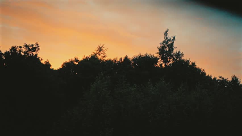 Vibrant orange sunset sky over dark forest silhouette from train window