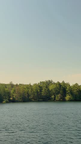 Forested Shoreline Across Calm Open Water