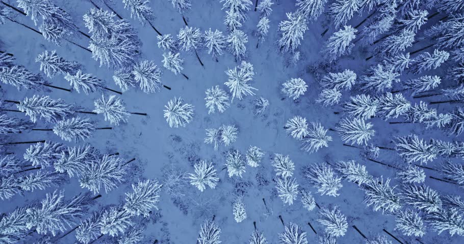 Cinematic drone shot with a slow ascending rotational movement above a snow covered winter forest, revealing frosted evergreen trees and beautiful natural patterns from directly overhead.