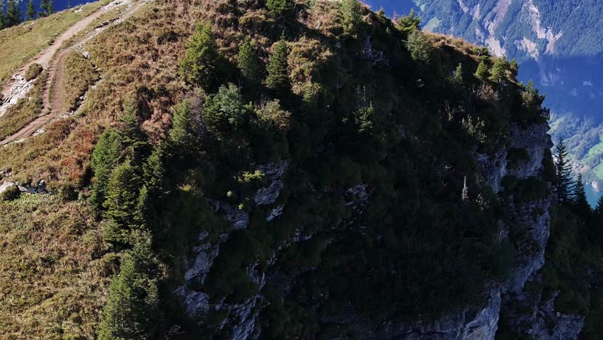 Aerial view of mountain peak with a small wooden structure, hiking trail, and evergreen trees in Switzerland.