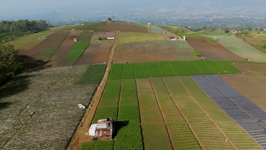 Aerial view of vibrant agricultural fields with small huts and diverse crop patterns in the rural landscape of Batu, East Java, Indonesia.