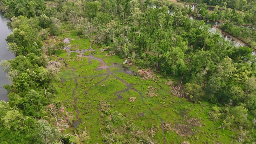 Aerial View of Savannah River Floodplain With Hurricane Storm Damage Georgia