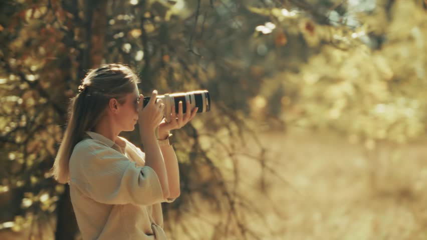 Woman Photographer Capturing Photos With Professional Camera In Sunny Forest. Talented Female Photographer Taking Pictures In Golden Hour Nature Landscape. Creative Photography Lifestyle Professional Equipment Artistic Vision Hobby Outdoor Portrait Session Sunlit Woodland Background Creative Content Creation