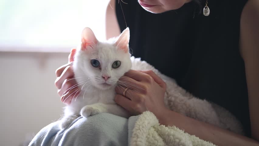 Close-up of a woman fondly stroking a white cat indoors.