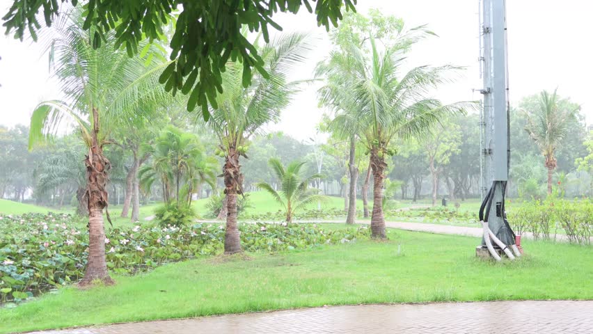 pouring rain in the park