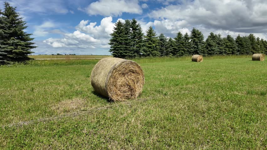 Close-up of a large round hay bale on a green grass field in summer. Haystack rolls on a rural meadow under a scenic cloudy sky.