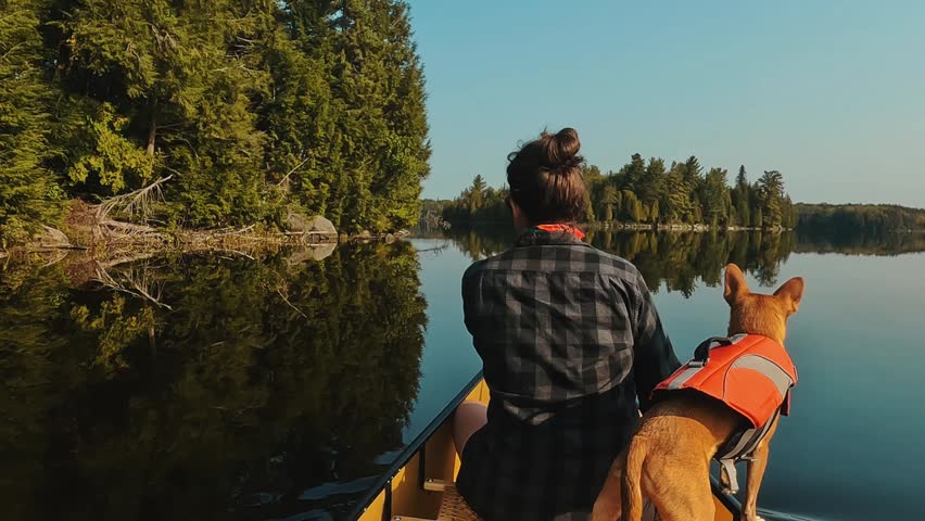 A woman and her dog in a red life jacket paddling quietly along the edge of a calm lake in Algonquin Park, Ontario, surrounded by forest reflections