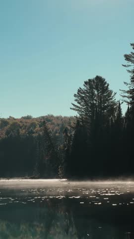 A still Algonquin Park lake during an early morning paddle. Mist drifts gently from the water, and tall pine dominates the shoreline in Ontario Canada