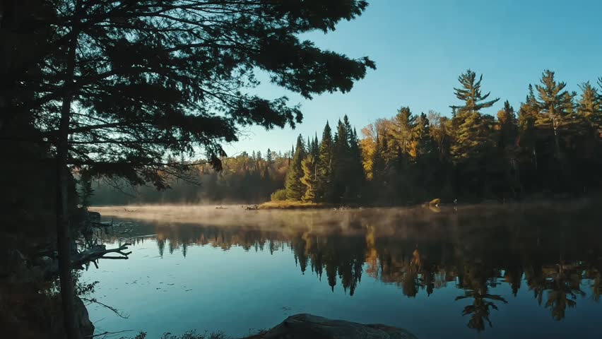A serene misty lake surrounded by towering pines and clear blue sky in the early morning in Algonquin Park, Ontario, Canada