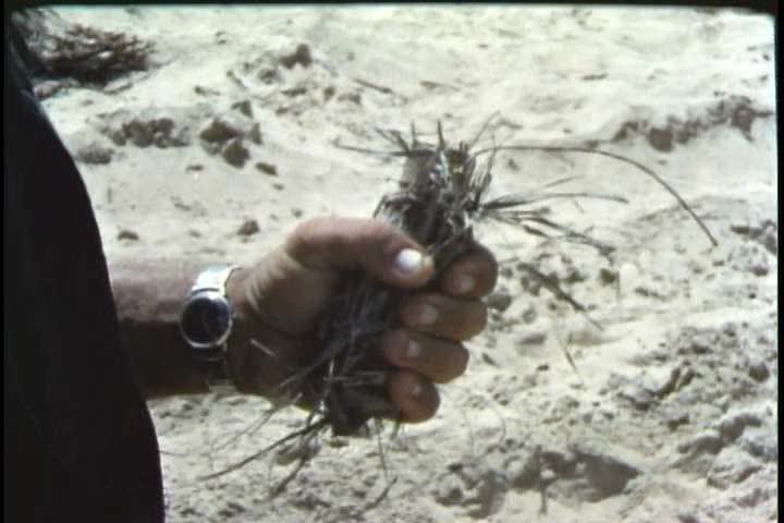 1960s - United States marines create battle strategies and are transported to different locations by helicopter in Vietnam