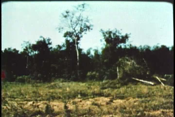 1960s - United states marines march through vietnam and search for enemy combatants