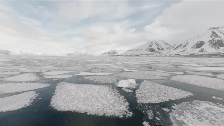 Arctic sea ice floating in a fjord surrounded by snow covered mountains in Svalbard, Norway