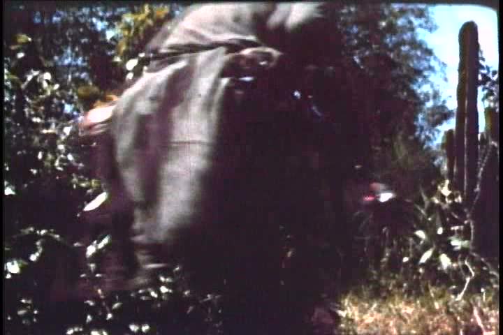 1960s - United States marines battle Vietcong soldiers during the Vietnam war