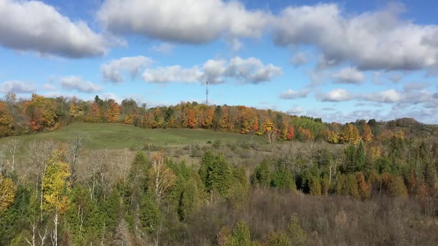 Top view of fall season landscape with trees