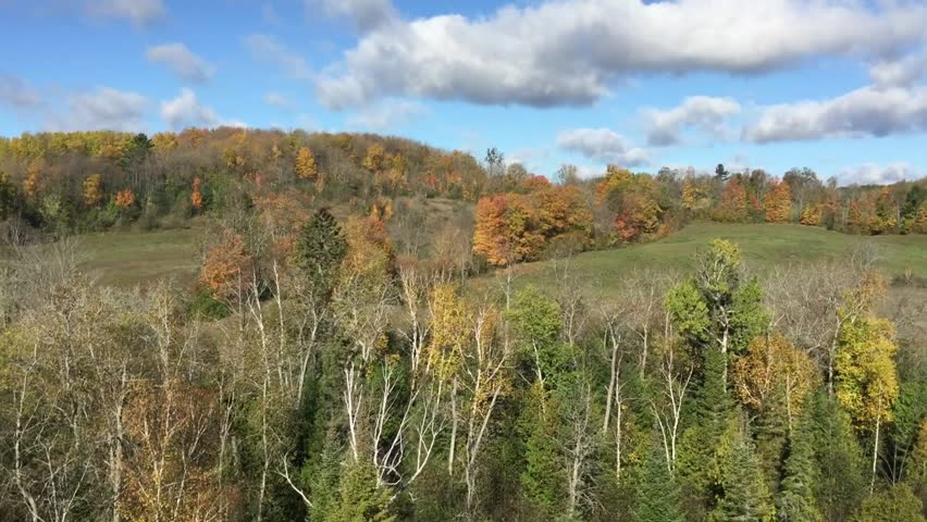 Beautiful view of fall season landscape with trees