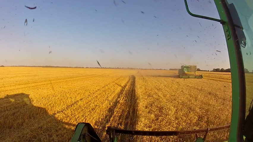 Harvesting. Shooting from a moving combine. The second harvester drives near
