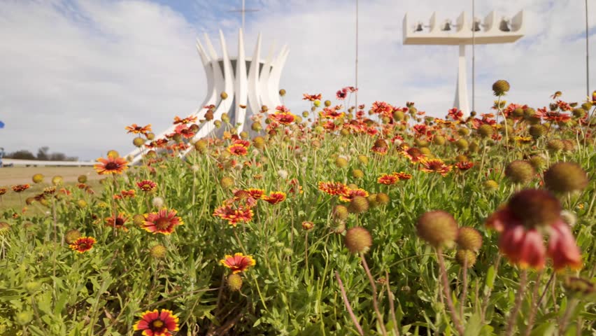 Beautiful red and yellow flowers blowing in the wind with the blurred Cathedral of Brasilia in the background
