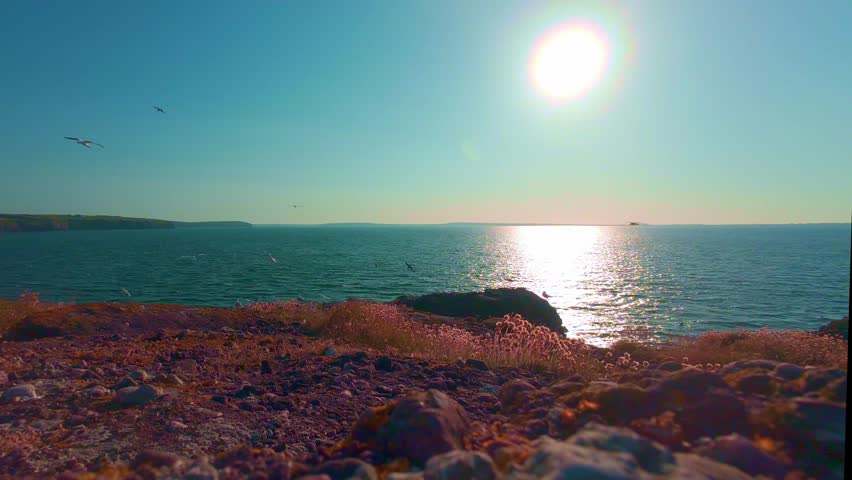 Beautiful ocean sunset with seagulls flying over the water in Ireland, slow motion.