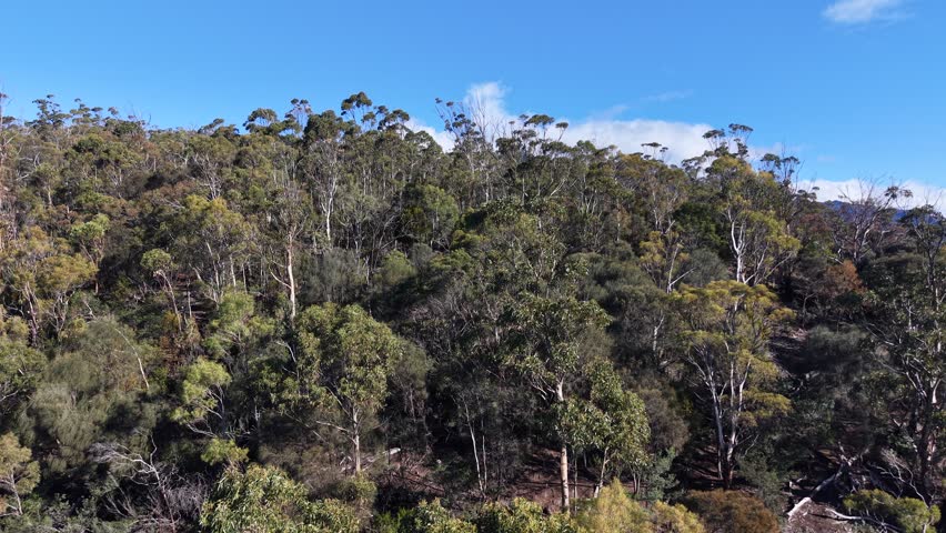 Mt Stuart, Hobart, Tasmania, Australia Aerial Drone 4K