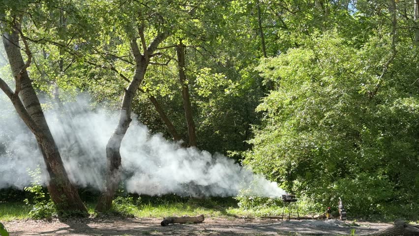 Dense White Smoke Rising from Small BBQ Grill Outdoors Among Trees