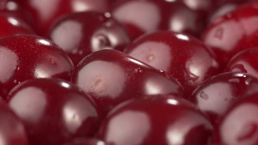 Ripe fresh cherry berries with water drops rotation, close-up. Top view