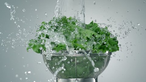 Washing lettuce shooting with high speed camera, phantom flex.: film stockowy