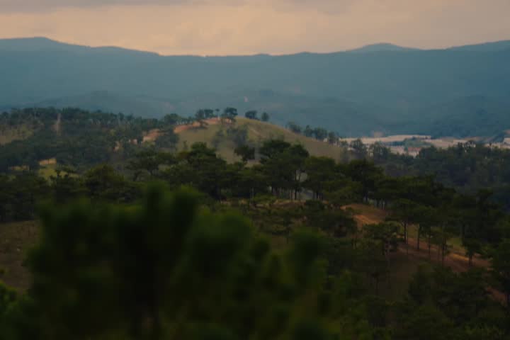A wide landscape view of a forested mountain valley under a soft evening sky.