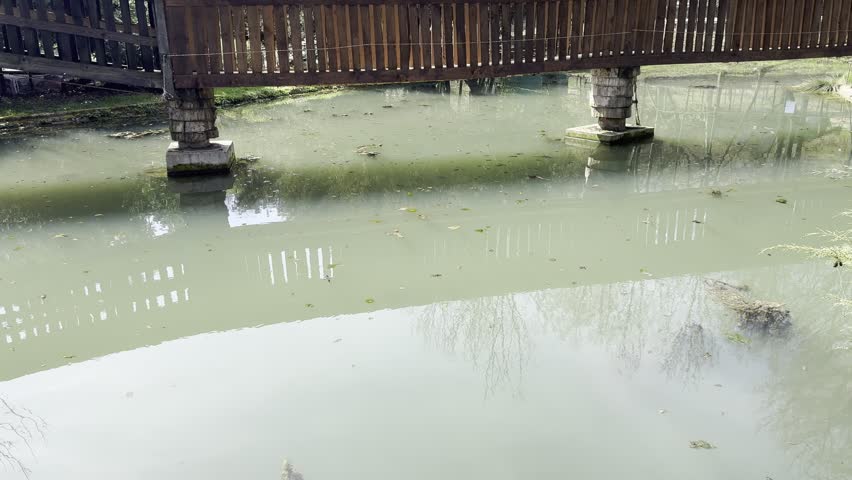 Calm Pond With Green Water Under Wooden Footbridge in Peaceful Nature Park